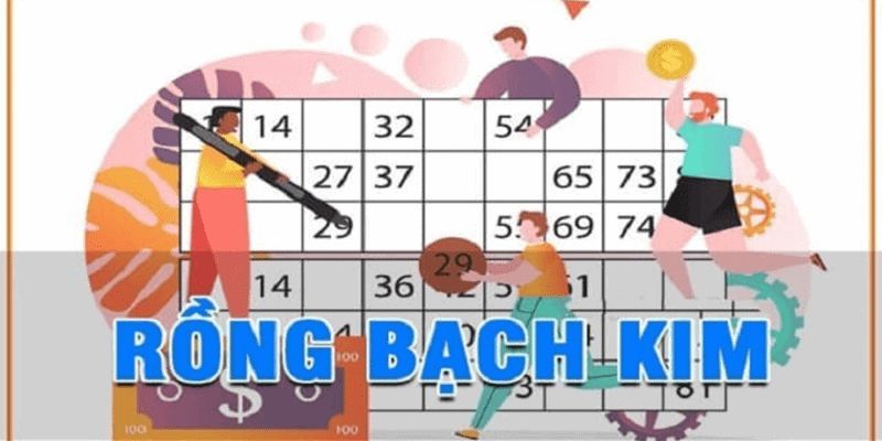 Quy trình để trang web đưa ra được những dữ liệu chính xác