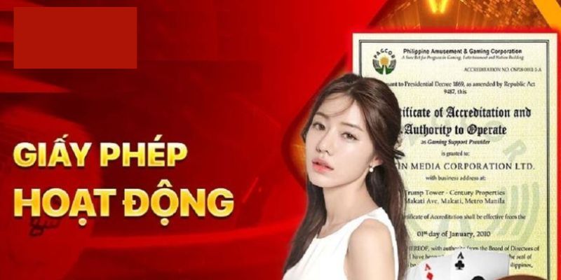 Các loại giấy phép được sử dụng phổ biến hiện nay