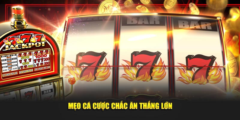 Mẹo cá cược chắc ăn thắng lớn
