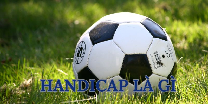 Sơ lược về kèo Handicap là gì